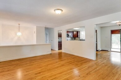 19 Norton St, Boston, MA 02125 - photo 5
