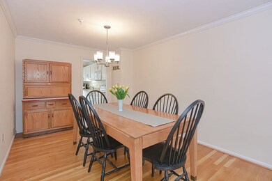 433 Main St unit 5, Medfield, MA 02052 - photo 6
