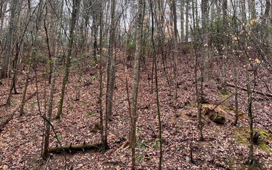 0 Hancock Dr unit 323119, Ellijay, GA 30540 - photo 5