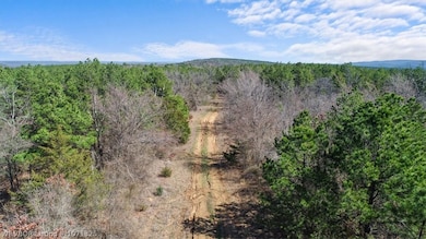 Tract 2 SE 179th, Wilburton, OK 74578 - photo 5