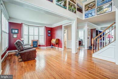 4708 Barnum Ln, Alexandria, VA 22312 - photo 7