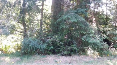 10714 Anchor Place unit AI, Anderson Island, WA 98303 - photo 5