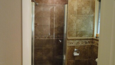 Master shower 2