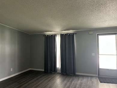 34607 Swaying Palm Dr, Zephyrhills, FL 33541 - photo 5