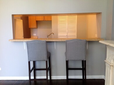 750 S Oakley Blvd unit 2, Chicago, IL 60612 - photo 2