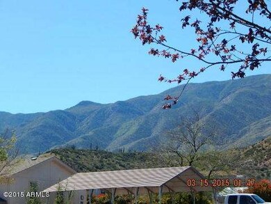 202 E Mitchell Way, Tonto Basin, AZ 85553 - photo 5