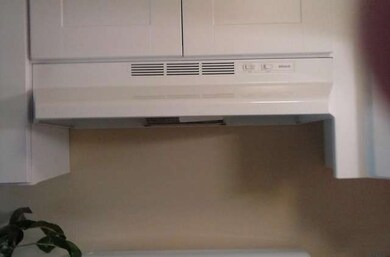 41 Bermuda Colony unit 5, Fox Lake, IL 60020 - photo 4