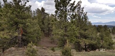 Pines and pinon