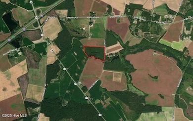 Tbd Colville St, Rowland, NC 28383 - photo 3