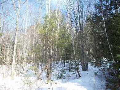 76 Hebron Rd, Buckfield, ME 04220 - photo 3