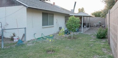 backyard11