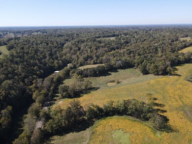 0 Buck Smith Rd unit RTC3047054, Palmyra, TN 37142 - photo 6