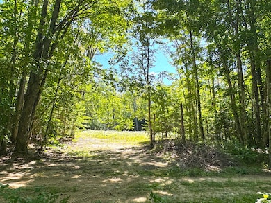 5146 Michigan 123 unit 5146, Eckerman, MI 49728 - photo 5