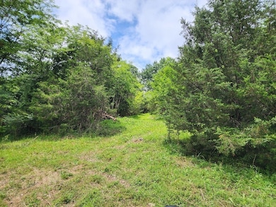 0 Granville Hwy unit RTC2975023, Granville, TN 38564 - photo 7