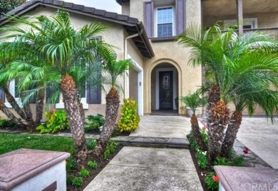 Front entry of home - tropical landscaping