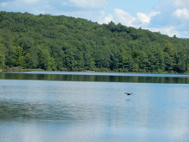 289 Tinkwig Dr, Hawley, PA 18428 - photo 7