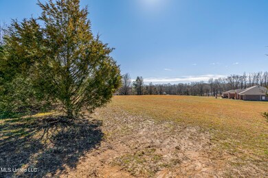225538_24-snapsold-screen-commissary-cov
