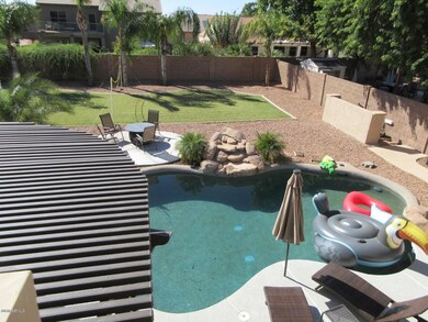 Backyard Pool