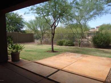 Backyard from Patio