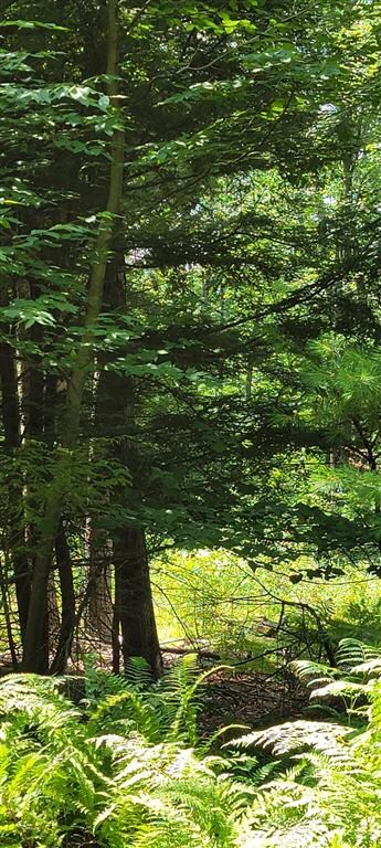 00 Earls Rd unit Lot A, South Berwick, ME 03908 - photo 6