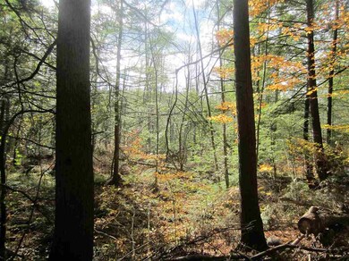 0 E Town Farm Rd unit 4606722, Putney, VT 05346 - photo 4