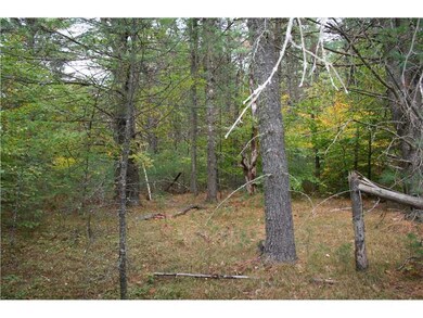 Land. Interior view of lot