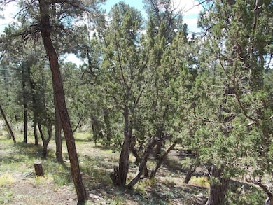 aspen 010