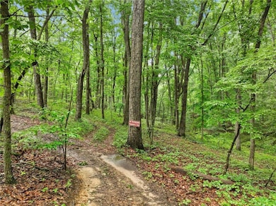 1 Cooper Bridge Rd, Gainesville, GA 30507 - photo 3