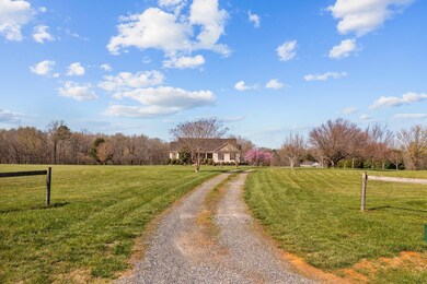 368 Jay Shambley Rd, Pittsboro, NC 27312 - photo 6