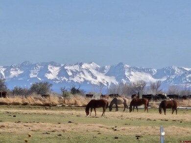 Beautiful unobstructed views