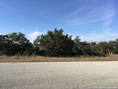 19507 Terra Elm, San Antonio, TX 78255 - photo 2