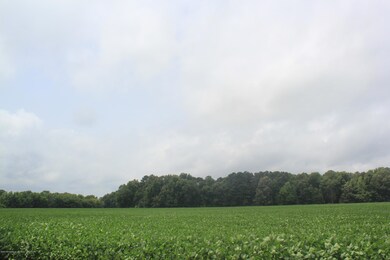 IMG_4458