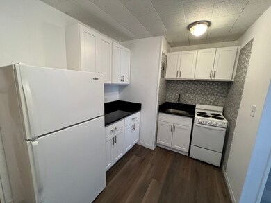 75 Park St unit 8, Brookline, MA 02446 - photo 4