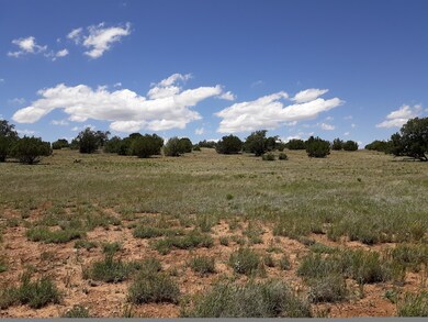 Lot 81 Juniperwood Ranch, Ash Fork, AZ 86320 - photo 4