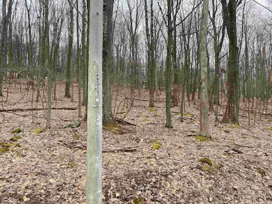 TBD Pond Lily Ln, Terra Alta, WV 26764 - photo 3