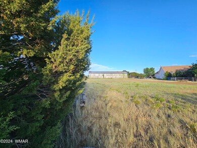 0 N 6th St, Show Low, AZ 85901 - photo 5