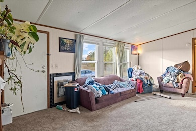 644 Treeline Rd, Grand Ridge, FL 32442 - photo 7