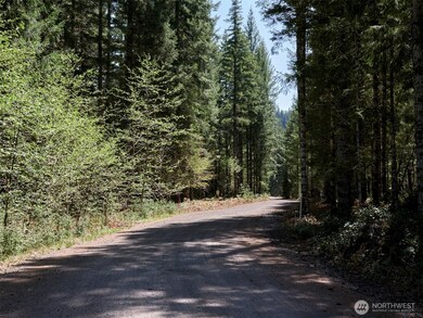 1 Loowit Ln, Cougar, WA 98616 - photo 3