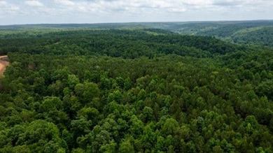 0 Old Mail Rd unit 24835045, Duck River, TN 38454 - photo 5