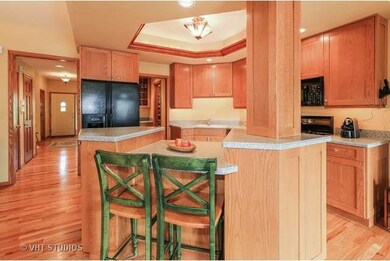 131 N Larch Ave unit 2B, Elmhurst, IL 60126 - photo 5