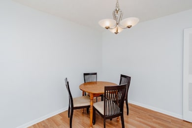 Thorndale Beach North Condominium unit 9G, Chicago, IL 60660 - photo 4