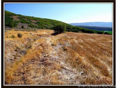 Land/Lot.
