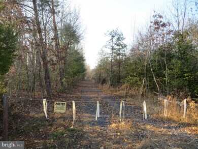 0 Grass Hopper Ln unit 1002425936, Unionville, VA 22567 - photo 2