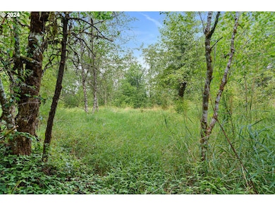 332 Boone Rd, Toledo, WA 98591 - photo 6