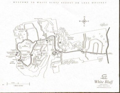 24121 Stonewood Dr, Whitney, TX 76692 - photo 7