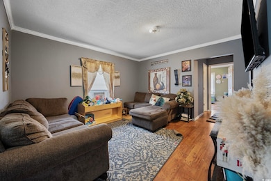 Living area with wood finished floors, crown molding, and a textured ceiling