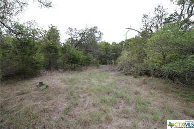 TBD Cowan Rd, Moody, TX 76557 - photo 5