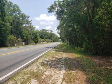 xx Shadeville Rd, Crawfordville, FL 32327 - photo 7