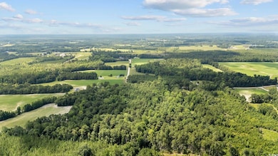 TBD Plainfield Rd, Galivants Ferry, SC 29544 - photo 7