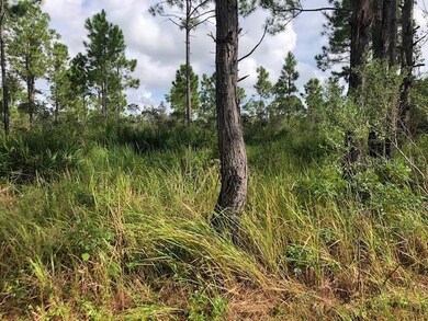 8010 Carillo Dr, Sebring, FL 33872 - photo 3